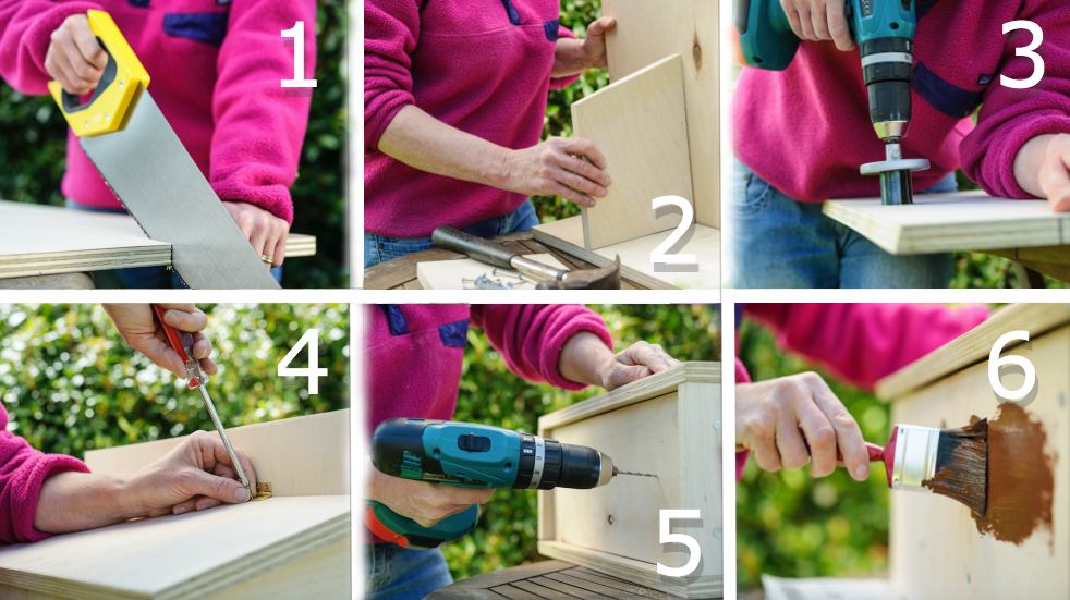 Attract wildlife to your garden sparrow box instructions
